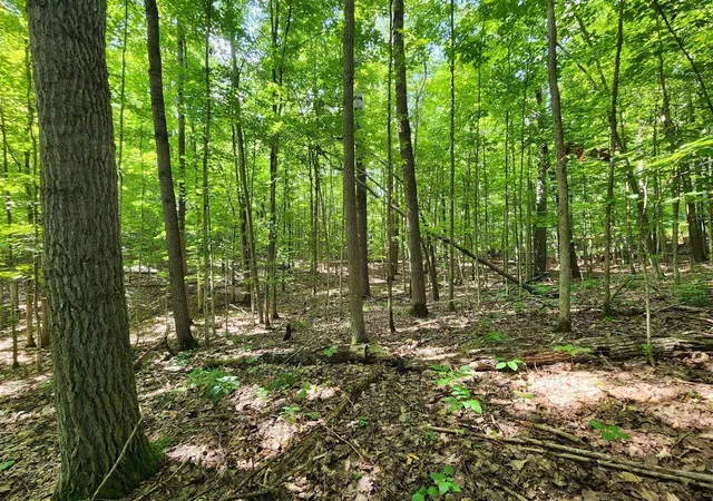 Photo 2 of Land for sale at Vl Cedar Valley Ridge Dr, Traverse City, MI 49684 | MLS# 80073059 | Listing updated on 2026-09-03