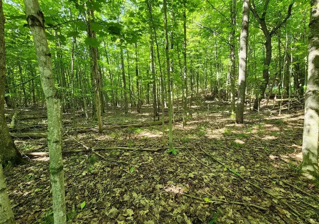 Photo 3 of Land for sale at Vl Cedar Valley Ridge Dr, Traverse City, MI 49684 | MLS# 80073059 | Listing updated on 2026-09-03