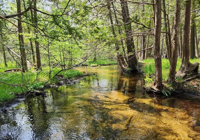 Photo 4 of Land for sale at Vl Cedar Valley Ridge Dr, Traverse City, MI 49684 | MLS# 80073059 | Listing updated on 2026-09-03