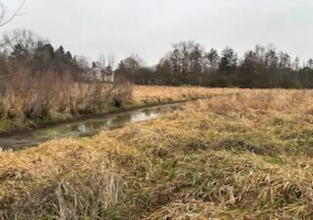 12th image of 6680 Carpenter Rd, Ypsilanti, MI 48197 | MLS# 70506124