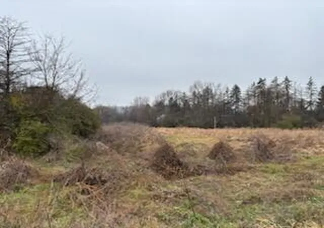 4th image of 6680 Carpenter Rd, Ypsilanti, MI 48197 | MLS# 70506124