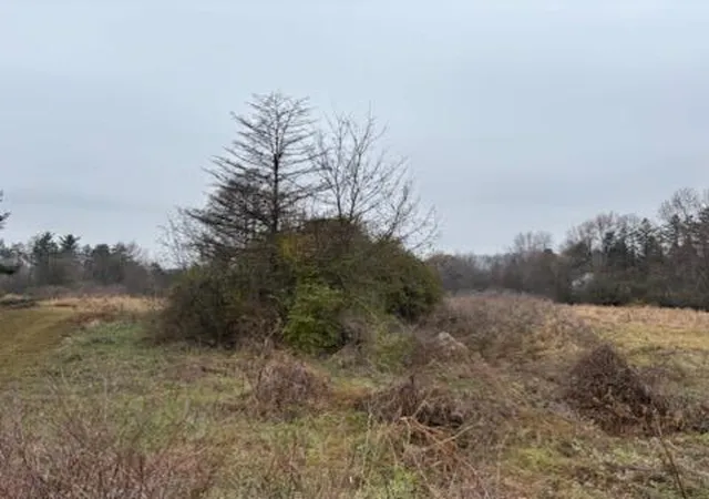 5th image of 6680 Carpenter Rd, Ypsilanti, MI 48197 | MLS# 70506124