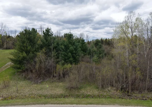 Photo 1 of Land for sale at Lot 4 Hampton Dr, Gladwin, MI 48624 | MLS# 50196662 | Listing updated on 2026-08-06
