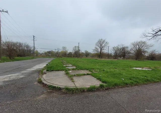 Photo 2 of Land for sale at 3905 Beaconsfield St, Detroit, MI 48224 | MLS# 60210071 | Listing updated on 2026-06-25