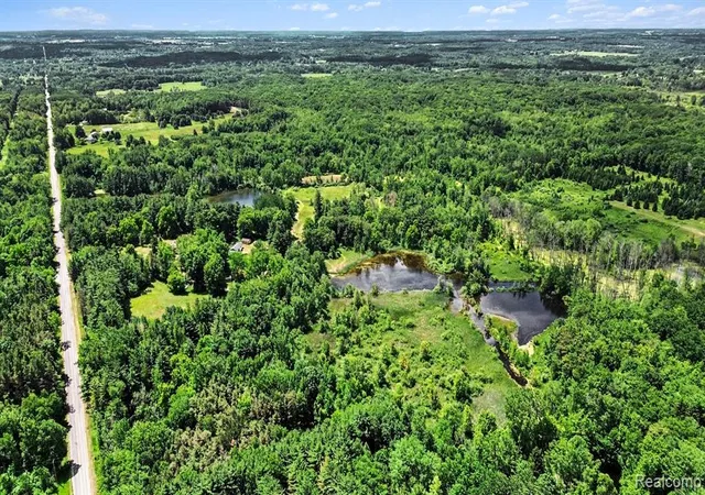 Photo 3 of Land for sale at 4202 Kingston Rd, Kingston, MI 48741 | MLS# 61004589 | Listing updated on 2026-07-07