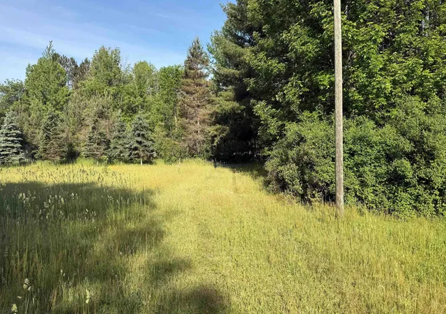 Homes for sale in Ellsworth, MI | Tbd Rushton Rd, Ellsworth, MI 49729 | MLS# 80065974