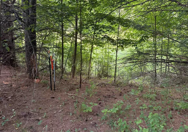 Homes for sale in Ellsworth, MI | Tbd Rushton Rd, Ellsworth, MI 49729 | MLS# 80065974