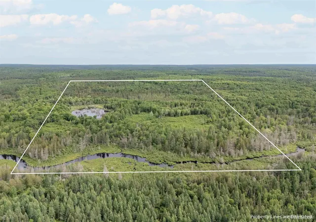 Homes for sale in Crystal Falls, MI | Tbd Cable Lake Rd, Crystal Falls, MI 49920 | MLS# 50212295
