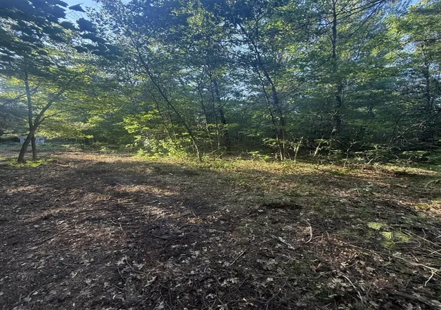 Photo 3 of Sale Pending at Michael Dr, Alger, MI 48610 | MLS# 70548322 | Listing updated on 2026-08-31