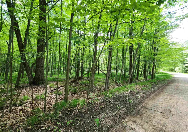 Homes for sale in Farwell, MI | Lot 1118 White Birch Ln, Farwell, MI 48622 | MLS# 50211327