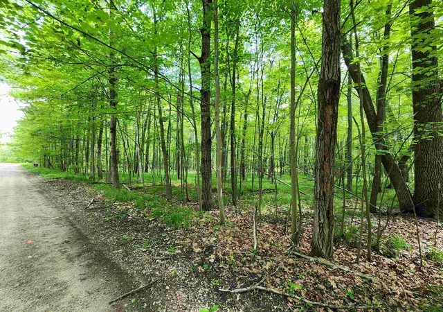 Homes for sale in Farwell, MI | Lot 1118 White Birch Ln, Farwell, MI 48622 | MLS# 50211327