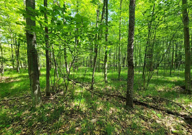 Homes for sale in Farwell, MI | Lot 1118 White Birch Ln, Farwell, MI 48622 | MLS# 50211327