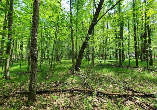 Homes for sale in Farwell, MI | Lot 1118 White Birch Ln, Farwell, MI 48622 | MLS# 50211327