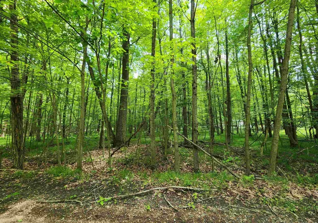 Homes for sale in Farwell, MI | Lot 1118 White Birch Ln, Farwell, MI 48622 | MLS# 50211327