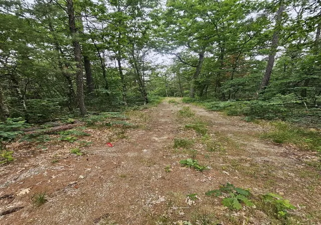 Photo 4 of Sale Pending at 2745 E Gladys St, Idlewild, MI 49642 | MLS# 70530515 | Listing updated on 2026-07-20