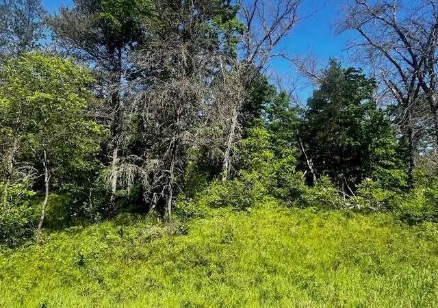 Land for sale at Parcel 1 M 37, Irons, MI 49644 | MLS# 70549642