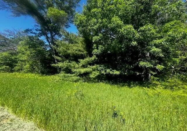 Photo 2 of Land for sale at Parcel 1 M 37, Irons, MI 49644 | MLS# 70549642 | Listing updated on 2026-08-10