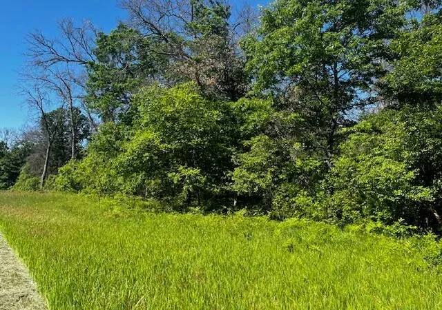 Photo 3 of Land for sale at Parcel 1 M 37, Irons, MI 49644 | MLS# 70549642 | Listing updated on 2026-08-10