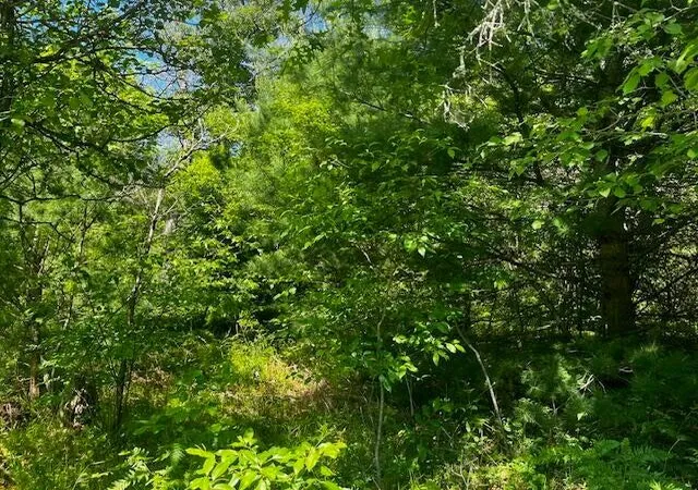 Photo 4 of Land for sale at Parcel 1 M 37, Irons, MI 49644 | MLS# 70549642 | Listing updated on 2026-08-10