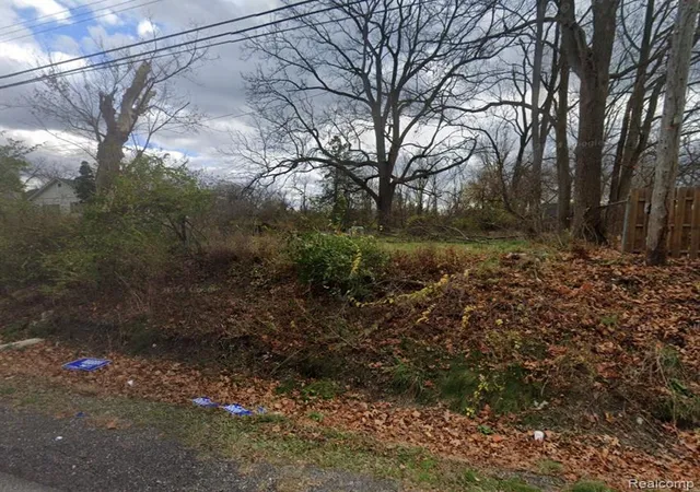Photo 3 of Land for sale at Tbd W 10 Mile Rd, White Lake, MI 48386 | MLS# 60940220 | Listing updated on 2025-12-30