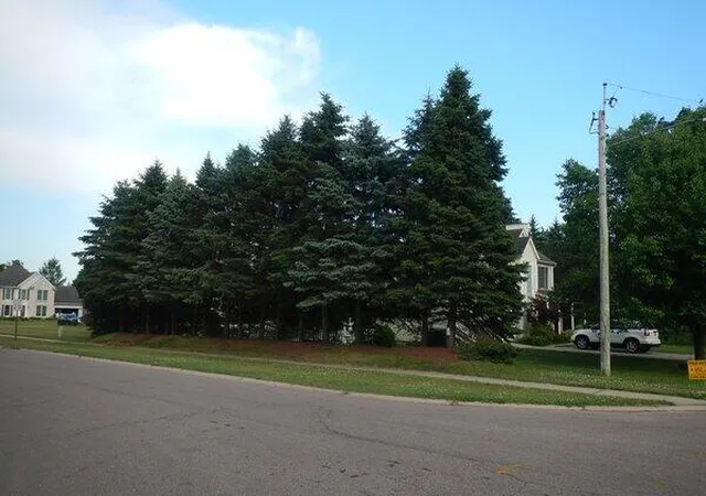 1st image of Vl S Demorrow Rd, Stevensville, MI 49127 | MLS# 70540811