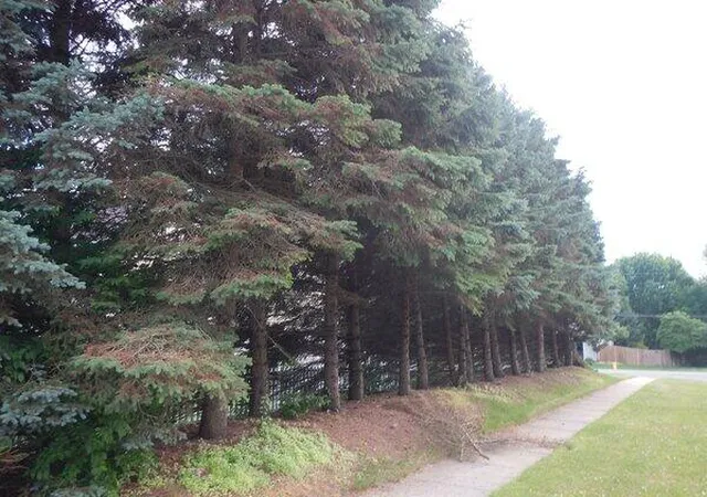 2nd image of Vl S Demorrow Rd, Stevensville, MI 49127 | MLS# 70540811