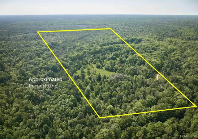 Homes for sale in Shingleton, MI | Tbd Star Siding Rd, Shingleton, MI 49884 | MLS# 50214190