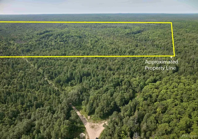 Homes for sale in Shingleton, MI | Tbd Star Siding Rd, Shingleton, MI 49884 | MLS# 50214190