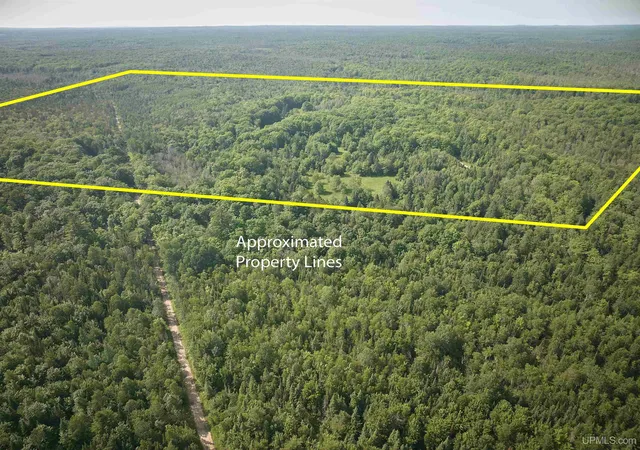 Homes for sale in Shingleton, MI | Tbd Star Siding Rd, Shingleton, MI 49884 | MLS# 50214190