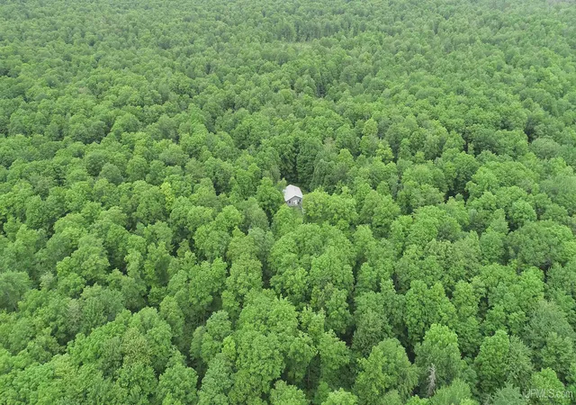 Homes for sale in Amasa, MI | 40 Acres The Grade Rd, Amasa, MI 49920 | MLS# 50207433