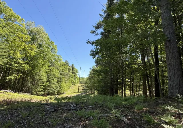Homes for sale in Traverse City, MI | 4478 Ground Pine Trl, Traverse City, MI 49686 | MLS# 80064784