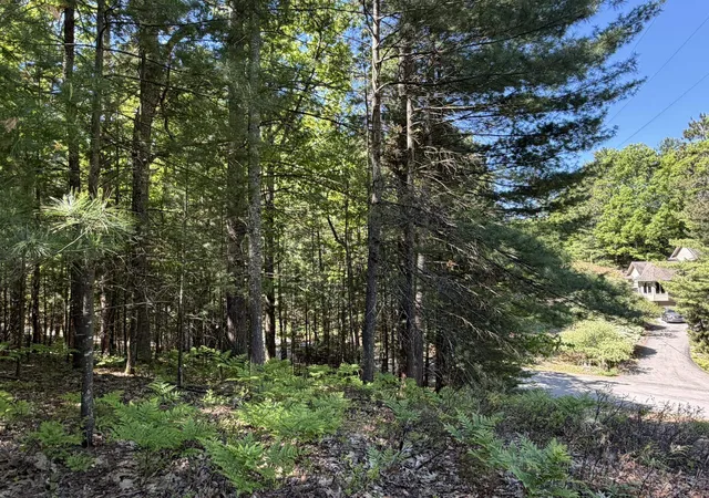 Homes for sale in Traverse City, MI | 4478 Ground Pine Trl, Traverse City, MI 49686 | MLS# 80064784
