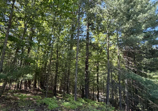 Homes for sale in Traverse City, MI | 4478 Ground Pine Trl, Traverse City, MI 49686 | MLS# 80064784