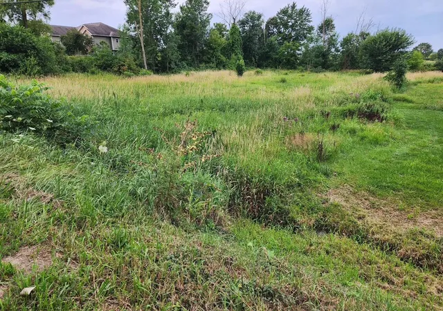Photo 2 of Land for sale at V/l 24th Avenue, Hudsonville, MI 49426 | MLS# 70550329 | Listing updated on 2026-08-07