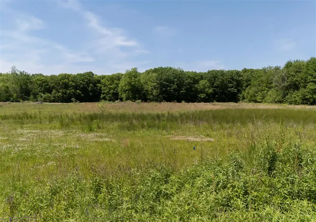 2nd image of V/l #2 Lakeside Rd, New Buffalo, MI 49117 | MLS# 70538848