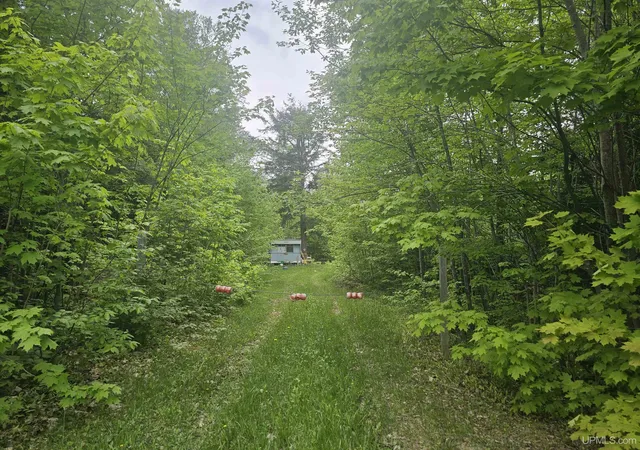 1st image of 10098 Us 41 Hwy, Skandia, MI 49885 | MLS# 50196614