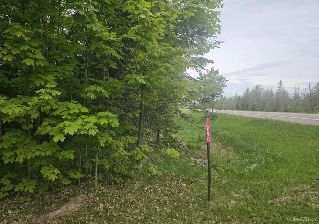 Photo 3 of Land for sale at 10098 Us 41 Hwy, Skandia, MI 49885 | MLS# 50196614 | Listing updated on 2026-09-01
