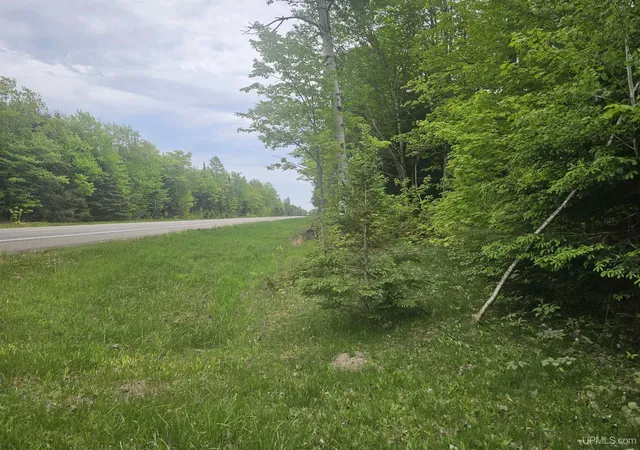 Photo 3 of Land for sale at 10098 US 41 Hwy, Skandia, MI 49885 | MLS# 50196614 | Listing updated on 2026-09-01
