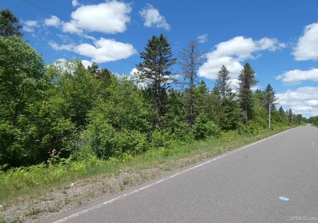 Homes for sale in Trout Creek, MI | Tbd Calderwood Rd, Trout Creek, MI 49967 | MLS# 50212518
