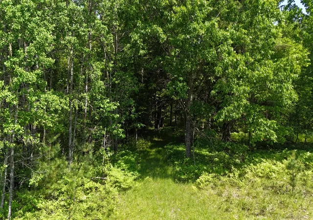 Photo 3 of Land for sale at Dickson Rd, Brethren, MI 49619 | MLS# 70538029 | Listing updated on 2026-07-25