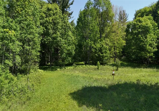 Photo 3 of Land for sale at Dickson Rd, Brethren, MI 49619 | MLS# 70538029 | Listing updated on 2026-07-25