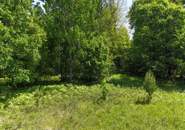 Photo 4 of Land for sale at Dickson Rd, Brethren, MI 49619 | MLS# 70538029 | Listing updated on 2026-07-25