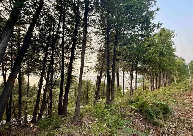 Photo 4 of Land for sale at Lot N 28 & 29 Lake Leelanau Dr, Lake Leelanau, MI 49653 | MLS# 80071316 | Listing updated on 2026-07-27