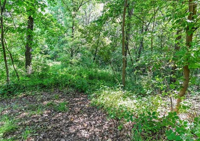 Photo 1 of Land for sale at 000 Holdridge Rd, Holly, MI 48442 | MLS# 61014810 | Listing updated on 2026-09-10