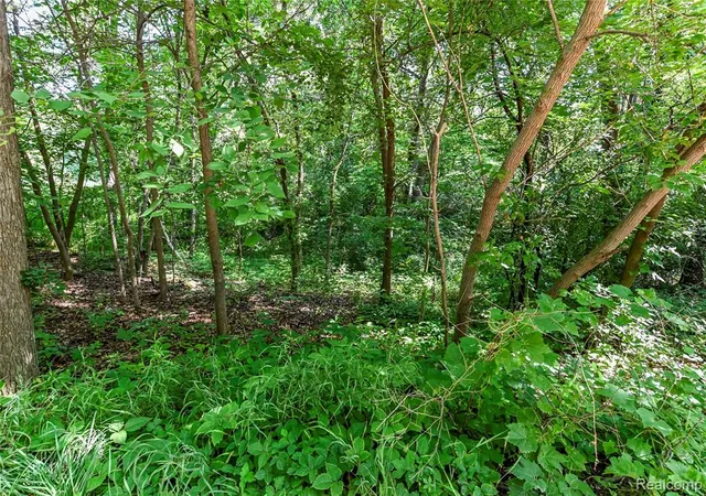 Photo 2 of Land for sale at 000 Holdridge Rd, Holly, MI 48442 | MLS# 61014810 | Listing updated on 2026-09-10