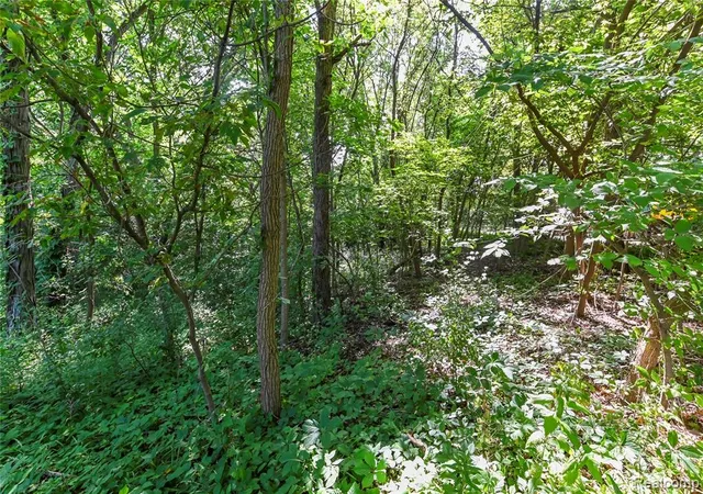 Photo 3 of Land for sale at 000 Holdridge Rd, Holly, MI 48442 | MLS# 61014810 | Listing updated on 2026-09-10