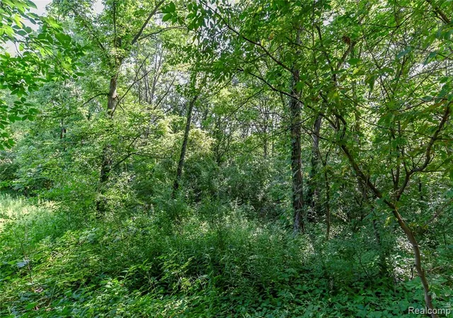 Photo 4 of Land for sale at 000 Holdridge Rd, Holly, MI 48442 | MLS# 61014810 | Listing updated on 2026-09-10