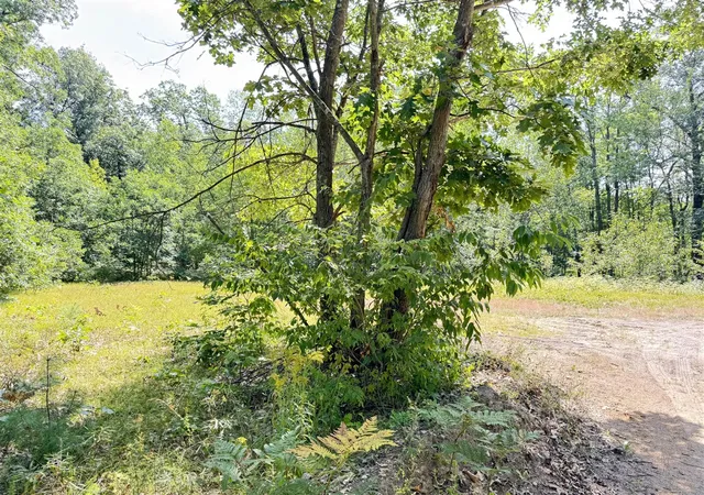 3rd image of Vl 10Th Ave, Bitely, MI 49309 | MLS# 70554241