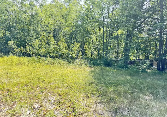 4th image of Vl 10Th Ave, Bitely, MI 49309 | MLS# 70554241