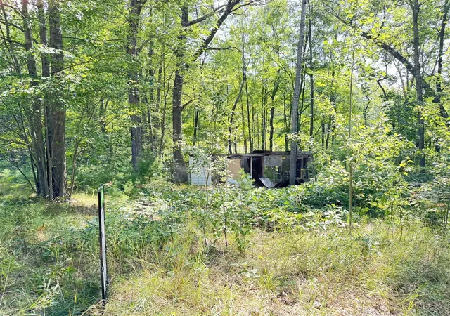 5th image of Vl 10Th Ave, Bitely, MI 49309 | MLS# 70554241